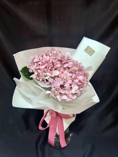 Hydrangea Dream