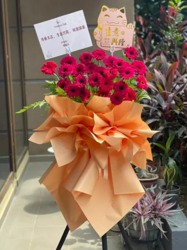 Grand Opening Stand Gerbera Bloom (Fresh Flower)