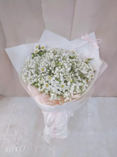BABY BREATH +CHAMOMILE